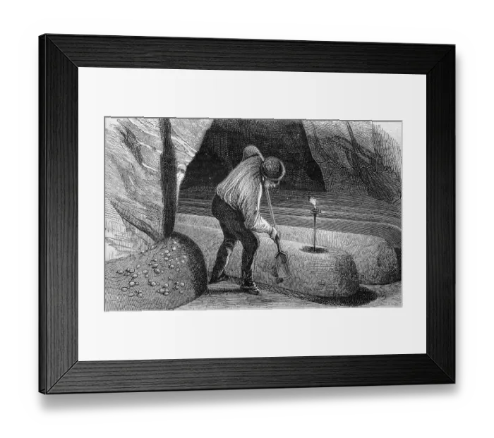 Framed Print : Mushroom cultivation, historical wood engraving