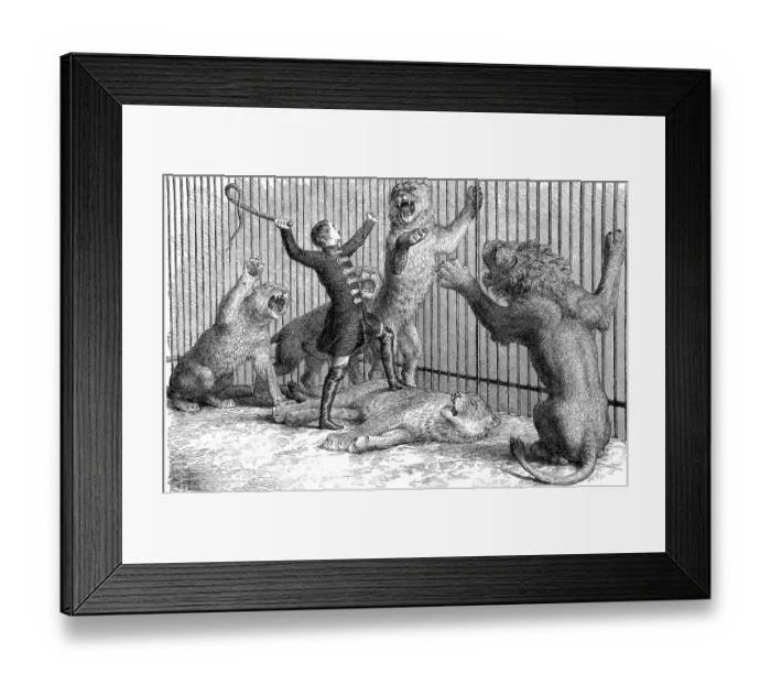 Framed Print : Illustration by Thomas Batty, English lion tamer and circus owner with his lions