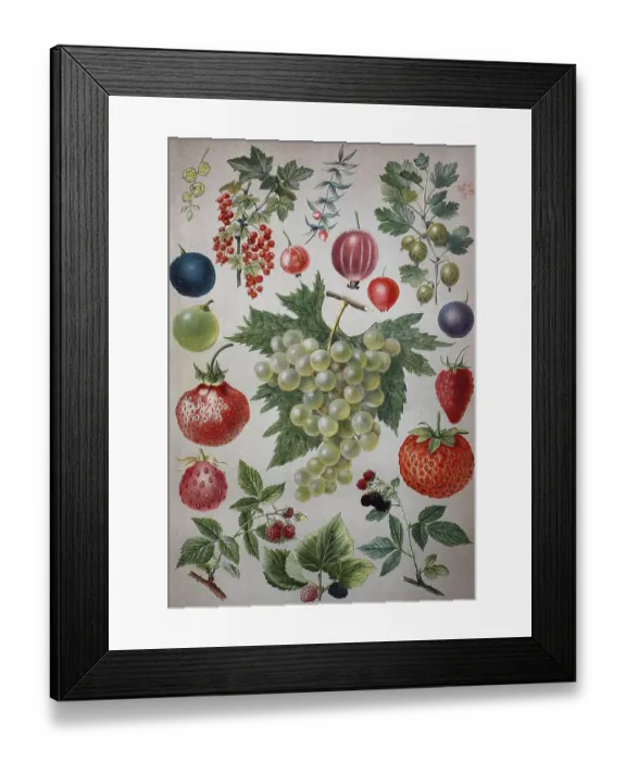 Framed Print : Various fruits, berries, berry fruits