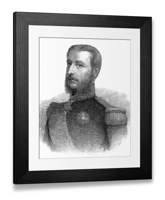Framed Print : Leopold II, actually Leopold Ludwig Philipp Maria Viktor