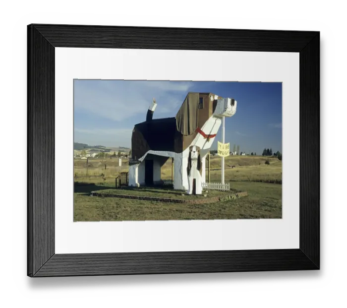 Framed Print : Unusual Bed & Breakfast at Dog Bark Park