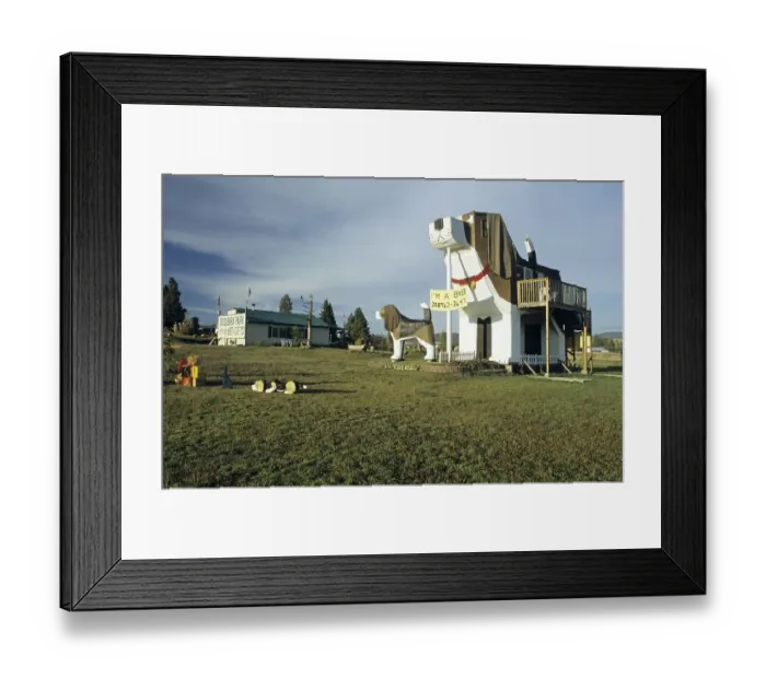 Framed Print : Unusual Bed & Breakfast at Dog Bark Park