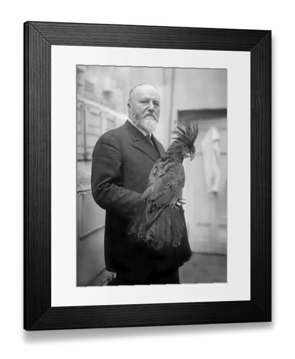 Framed Print : The Berlin Zoo Director, Ludwig Heck Mai Framed Print : The Berlin Zoo Director, Ludwig Heck Mai