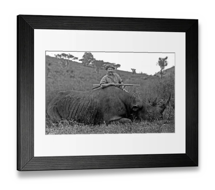 Framed Print : Historic picture, hunter posing behind a caught rhinocerus Framed Print : Historic picture, hunter posing behind a caught rhinocerus