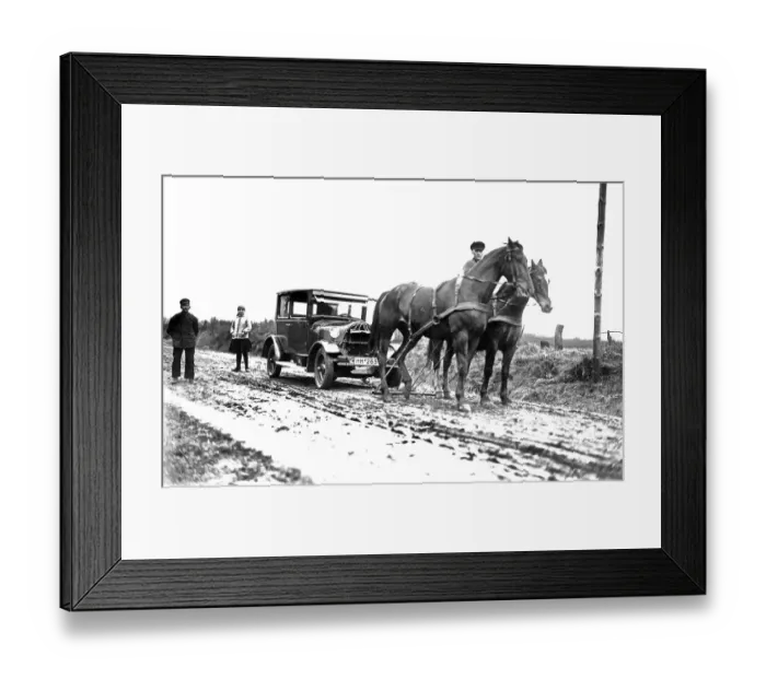 Framed Print : Historic photograph, horse drawing a car