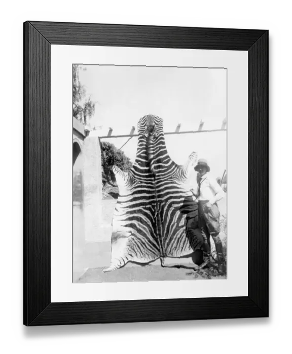 Framed Print : Historic photograph, woman with a tiger's hide Framed Print : Historic photograph, woman with a tiger's hide