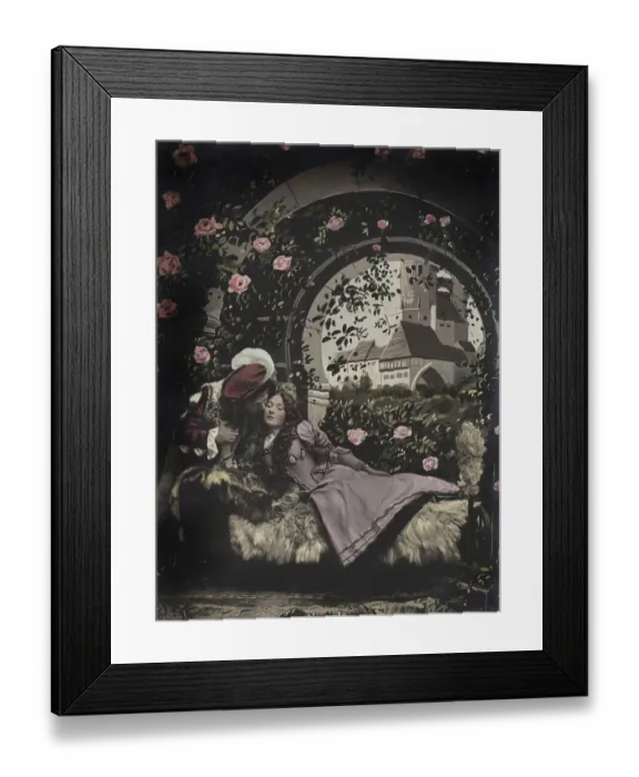 Framed Print : Sleeping Beauty, depiction of a fairy tale