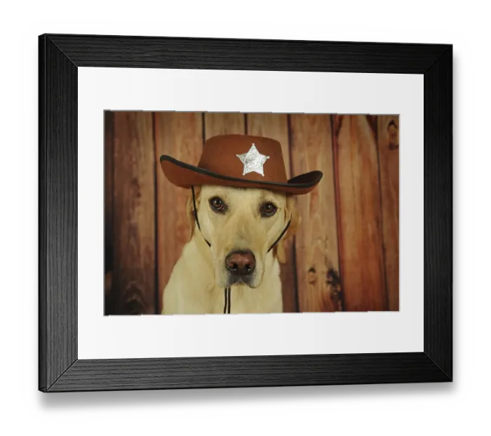 Framed Print : Labrador Retriever, yellow, male with cowboy hat Framed Print : Labrador Retriever, yellow, male with cowboy hat