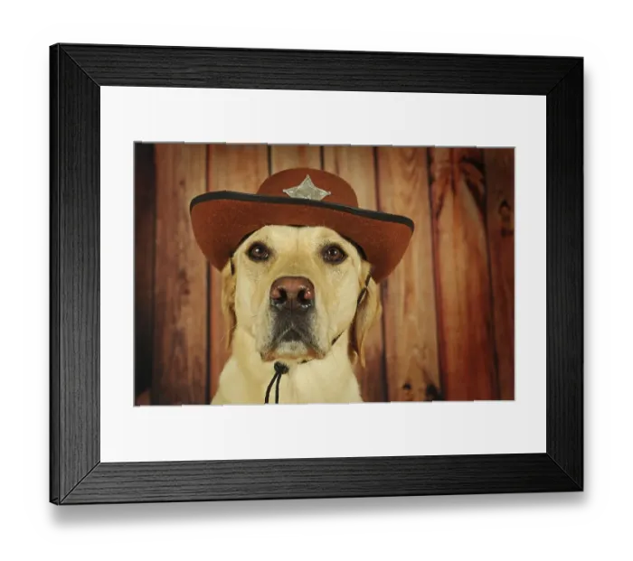 Framed Print : Labrador Retriever, yellow, male with cowboy hat