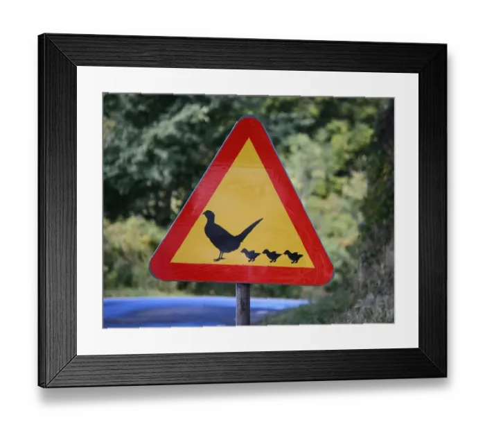 Framed Print : Warning sign, caution birds, Charlottenlund Framed Print : Warning sign, caution birds, Charlottenlund