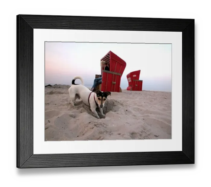 Framed Print : Dog on the beach