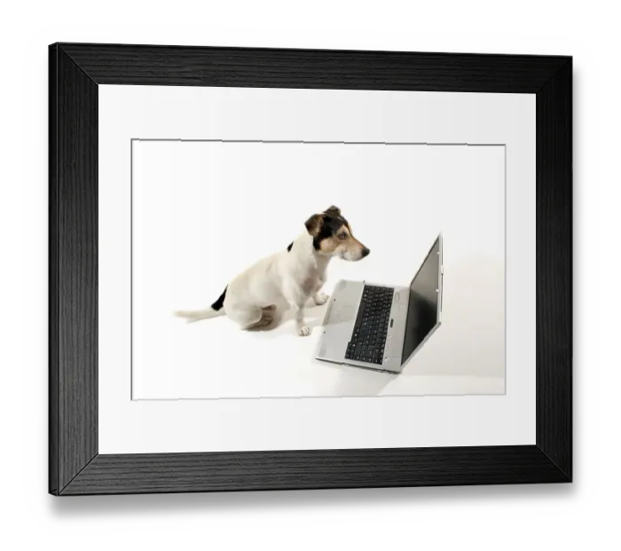 Framed Print : Jack Russell sitting in front of a notebook