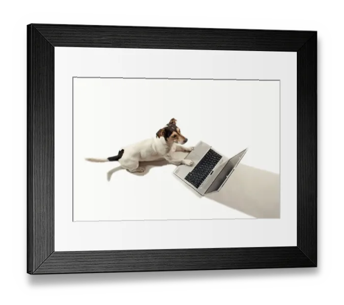 Framed Print : Jack Russell working on a notebook