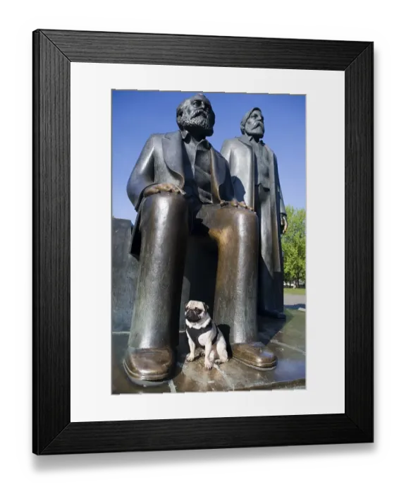 Framed Print : Young pug in front of Marx and Engels monument in Berlin