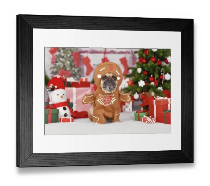 Framed Print : Funny dog Christmas costume. French Bulldog wearing gingerbread outfit with arms surrounded by festive decoration