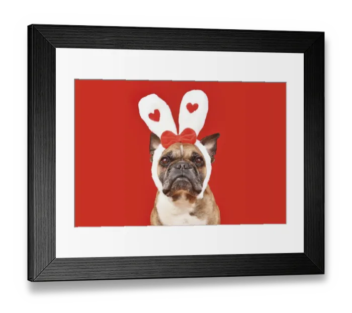 Framed Print : French Bulldog dog wearing Valentine's Day headband with bunny ears with hearts on red background