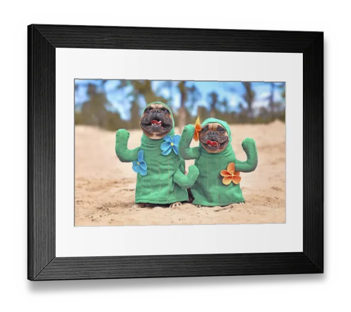 Framed Print : Funny pair of French Bulldog dog dressed up with cactus costumes with fake arms and flowers standing on sandy ground