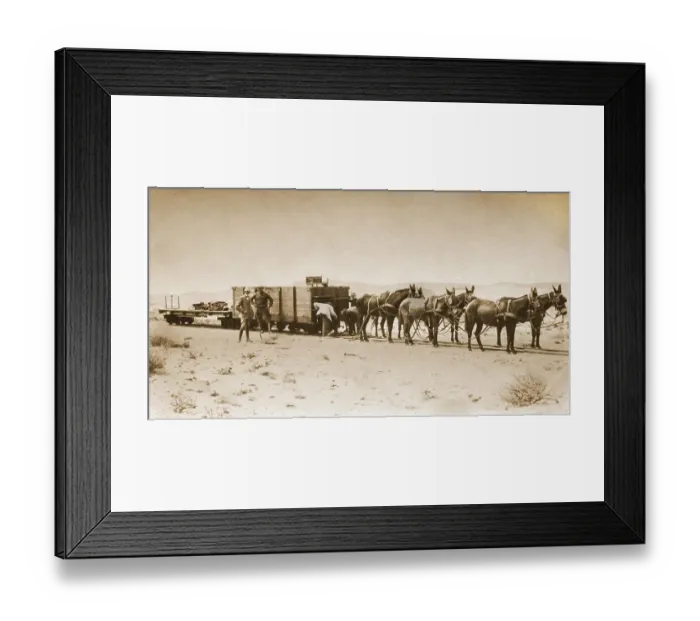 Framed Print : Material transport in 1915, donkey pull freight car