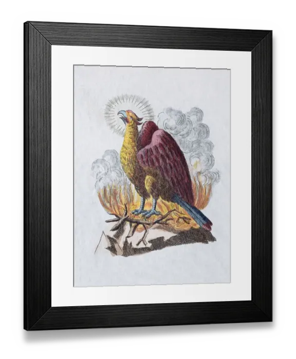 Framed Print : Phoenix, hand-colored copper engraving from children's picture book by Friedrich Justin Bertuch Framed Print : Phoenix, hand-colored copper engraving from children's picture book by Friedrich Justin Bertuch