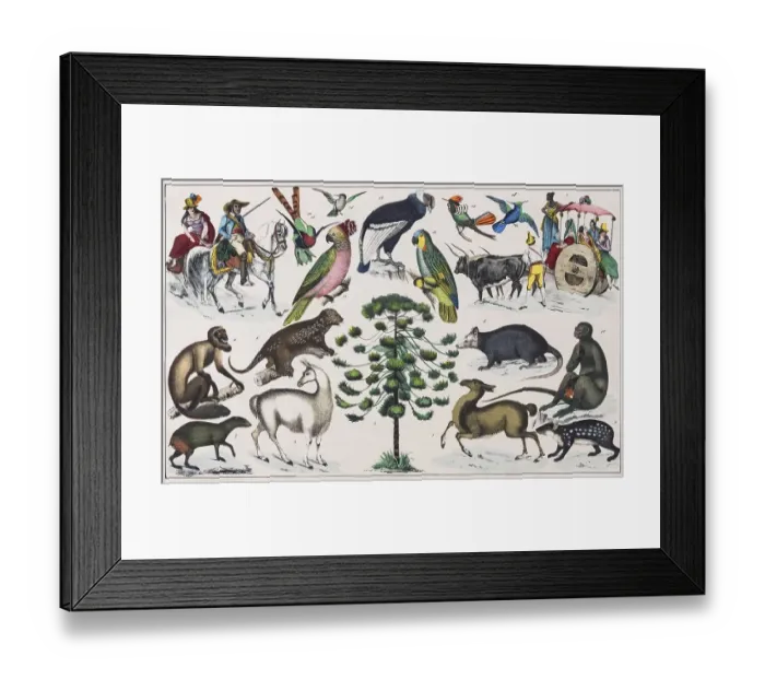 Framed Print : Zone painting South America, Peru Framed Print : Zone painting South America, Peru