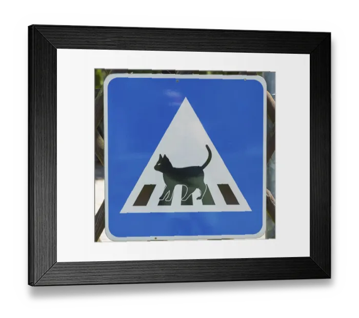Framed Print : Road sign, crosswalk for cats, caution