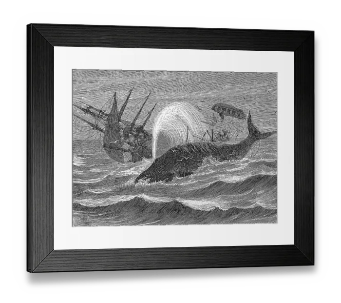 Framed Print : Whaling ship Essex, whale catcher attacked and sunk by a sperm whale in 1820