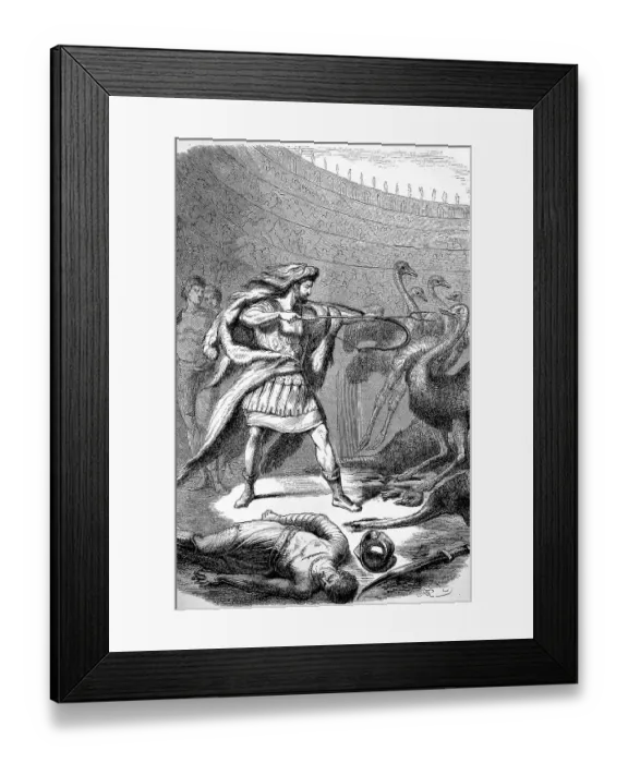 Framed Print : Gladiator Commodus fights ostriches in the circus Framed Print : Gladiator Commodus fights ostriches in the circus