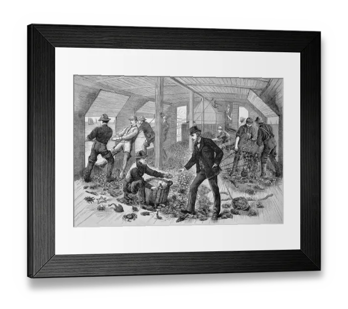 Framed Print : In the hold of an oyster fishing ship