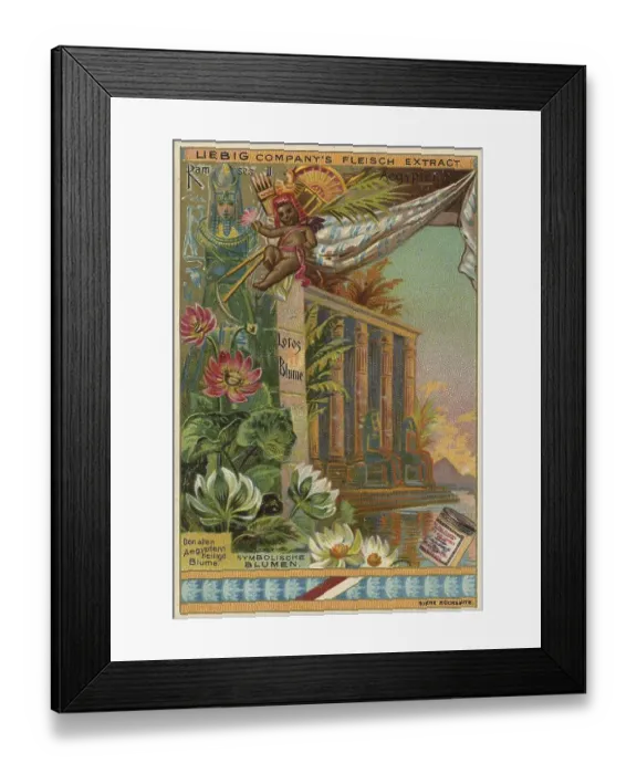 Framed Print : Lotus flower, Ramses II, Egypt