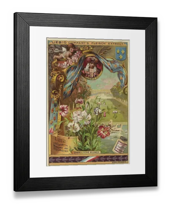 Framed Print : Lily, Louis XIV, France, coat of arms of the Bourbons