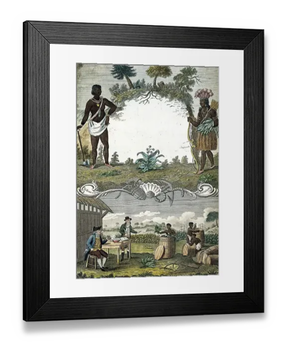 Framed Print : A tobacco plantation with workers Framed Print : A tobacco plantation with workers