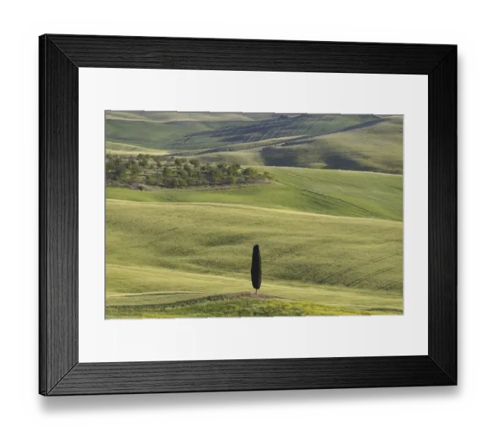 Framed Print : Landscape at sunrise around Pienza Framed Print : Landscape at sunrise around Pienza