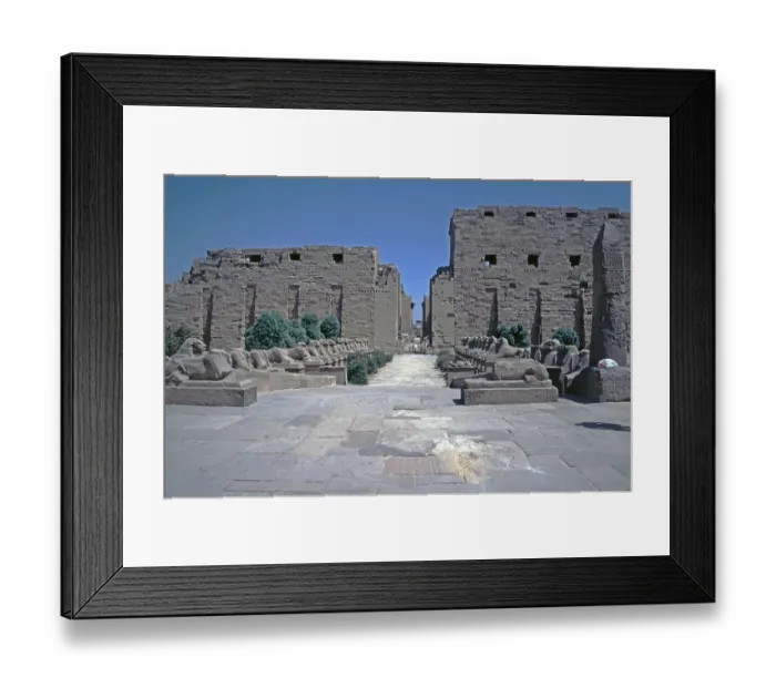 Framed Print : Ram Sphinx Avenue and 1st pylon Framed Print : Ram Sphinx Avenue and 1st pylon
