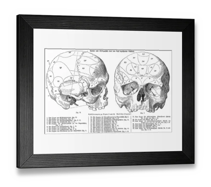 Framed Print : Human skull, anatomical illustration by Franz Joseph Gall Framed Print : Human skull, anatomical illustration by Franz Joseph Gall