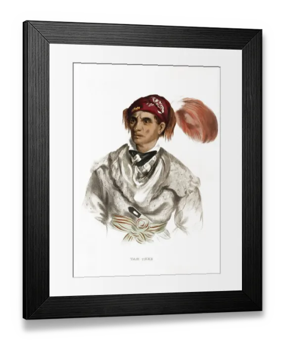 Framed Print : American Indian, Native American