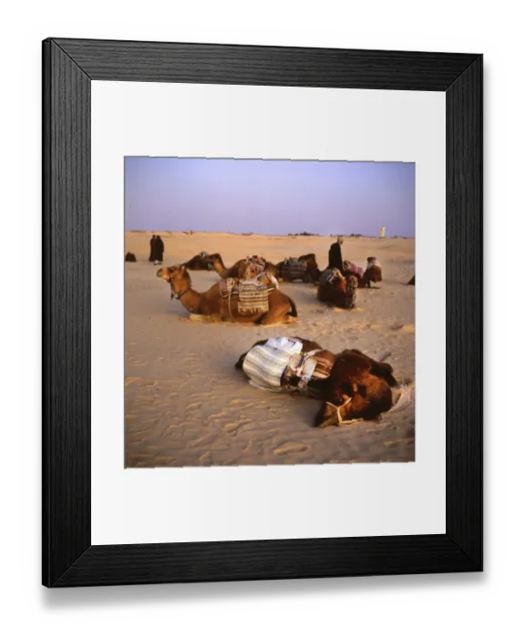 Framed Print : Tunisia with Hammamet by the sea on12 Framed Print : Tunisia with Hammamet by the sea on12