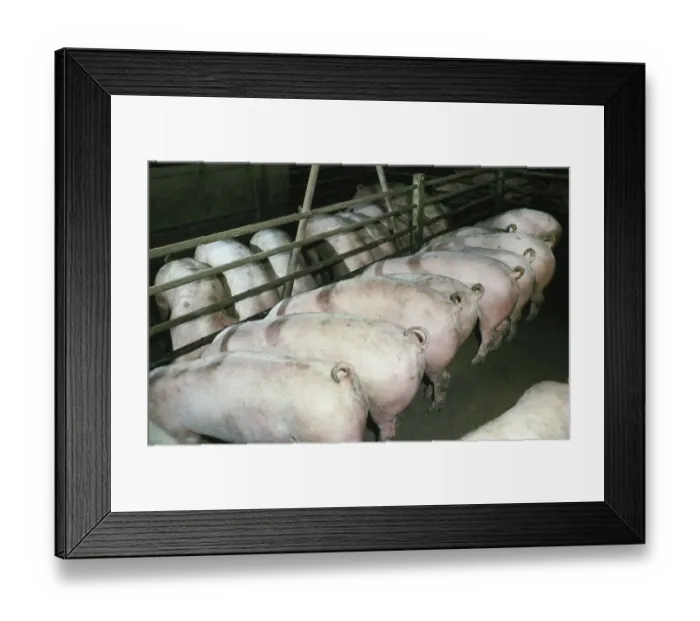 Framed Print : DEU, Germany: The historical slides from the times 84-85 r years