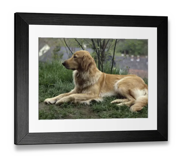 Framed Print : DEU, Germany: The historical slides from the 84-85 r years