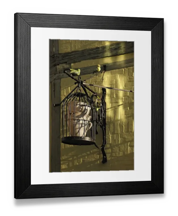 Framed Print : Iron birdcage with coffee cups from Cafe Finkenherd