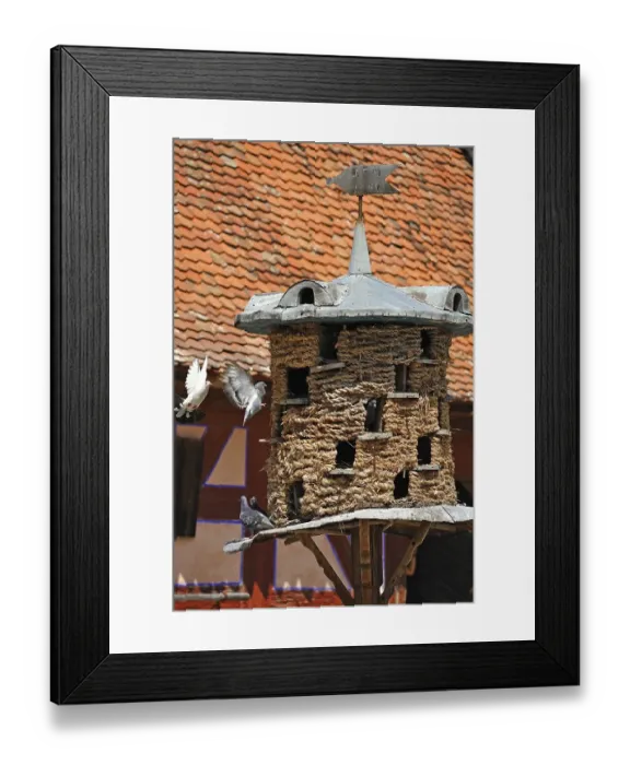 Framed Print : Straw-woven dovecote from 1895 Framed Print : Straw-woven dovecote from 1895
