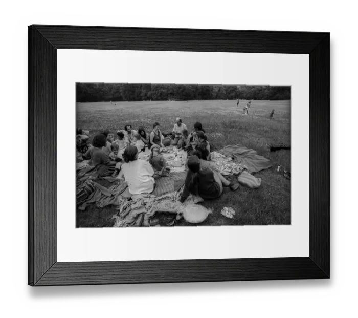 Framed Print : Germany, Berlin, 27.06.1991, families in a meadow in Treptower Park