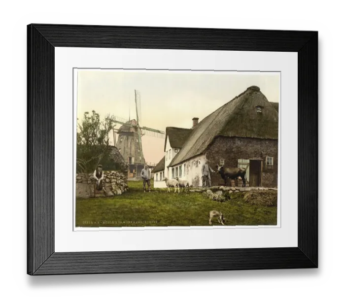 Framed Print : The mill in Munkmarsch on Sylt