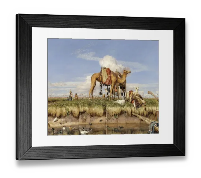 Framed Print : On the Banks of the Nile, Camels Stand on the Shore