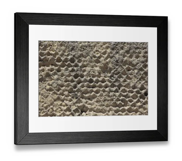 Framed Print : Close-up of a honeycomb-like, porous stone structure in natural earth tones Framed Print : Close-up of a honeycomb-like, porous stone structure in natural earth tones