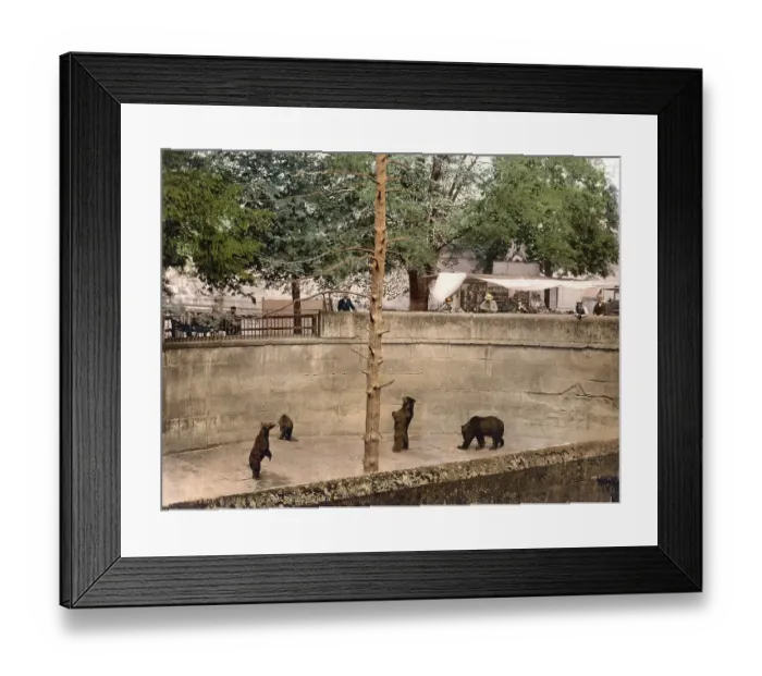 Framed Print : Baerengrube, Bern, Switzerland