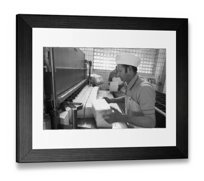 Framed Print : Cheese production at the Westmilch company on 22 Framed Print : Cheese production at the Westmilch company on 22