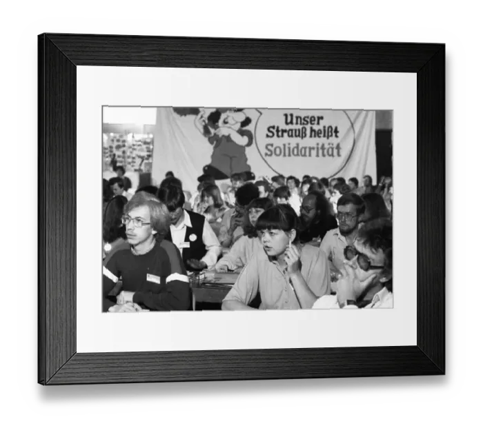 Framed Print : Youth Conference of the Trade, Banking and Insurance Union (HBV) on 31