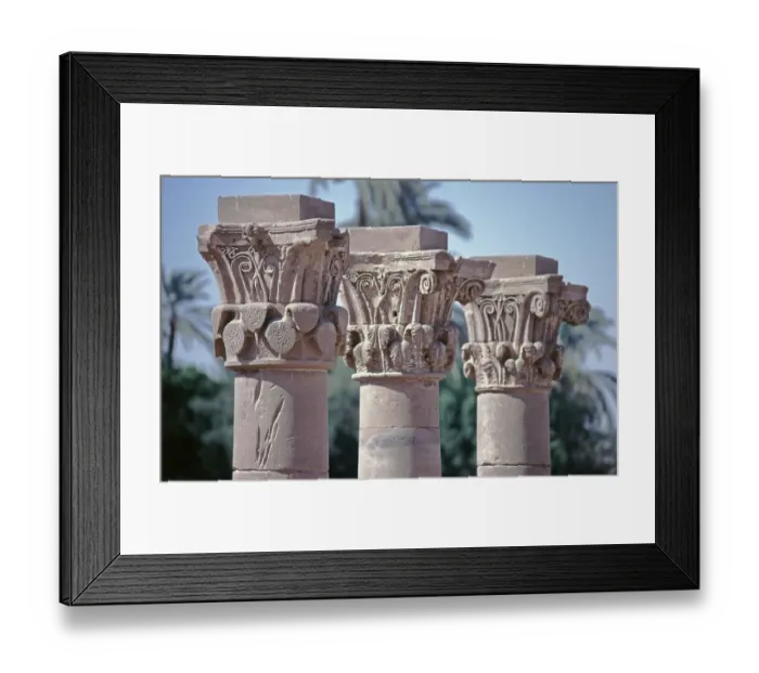 Framed Print : Differently designed capitals, detail