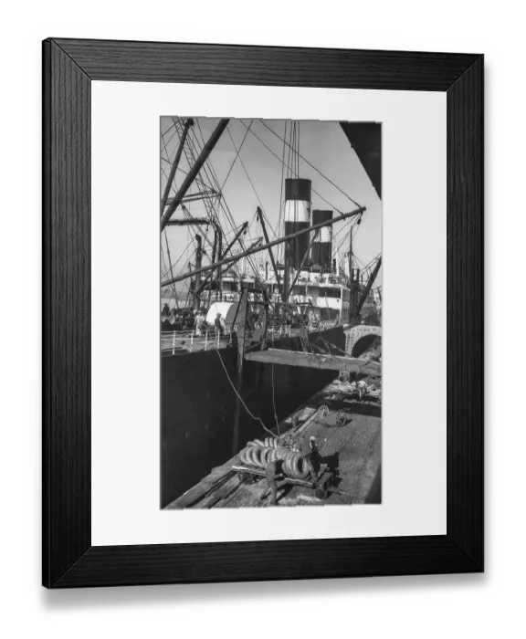Framed Print : Old early 1900s photo of stevedores