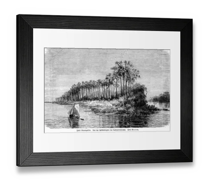 Framed Print : Jungle, rainforest, inner tropics